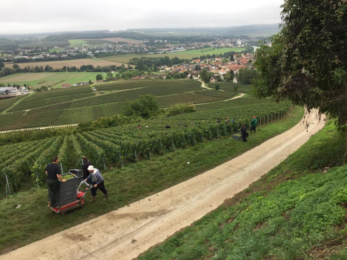 Villa L'Insouciance En Champagne Vincelles  Kültér fotó
