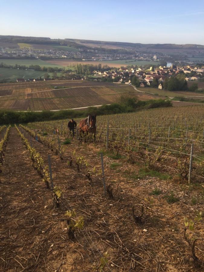 Villa L'Insouciance En Champagne Vincelles  Kültér fotó