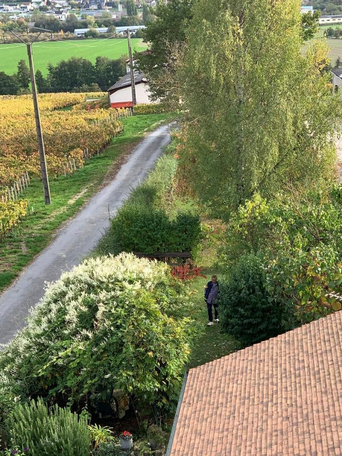 Villa L'Insouciance En Champagne Vincelles  Kültér fotó