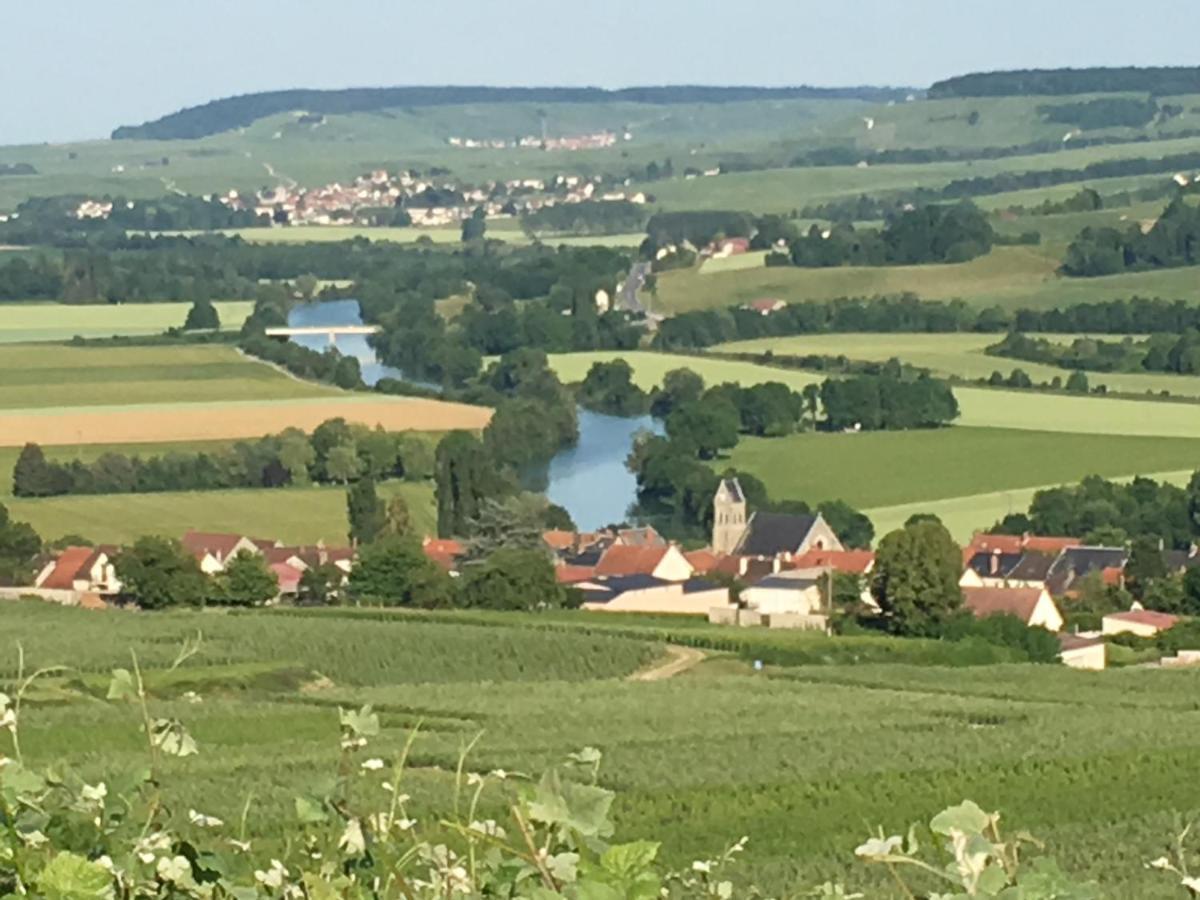 Villa L'Insouciance En Champagne Vincelles  Kültér fotó